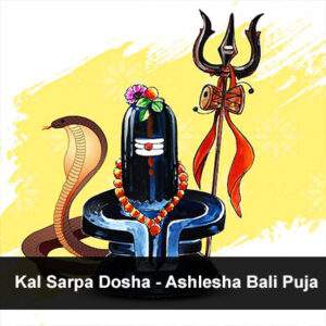 Kal Sarpa Dosha - Ashlesha Bali Puja