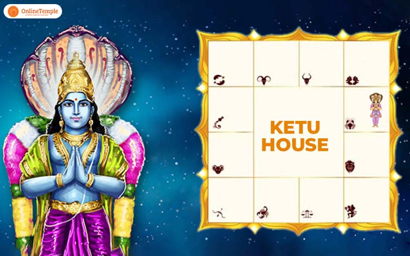 Relation of Ketu with the Houses
