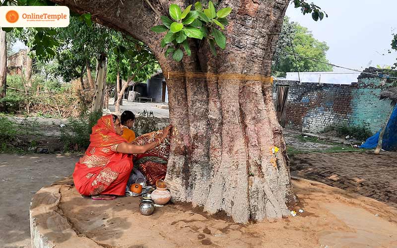 Worship the Peepal Tree and the Crow