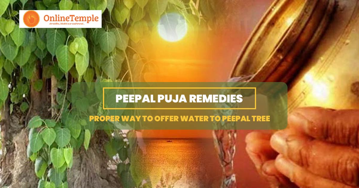 Peepal Puja Remedies: Proper Way to Offer Water to Peepal Tree