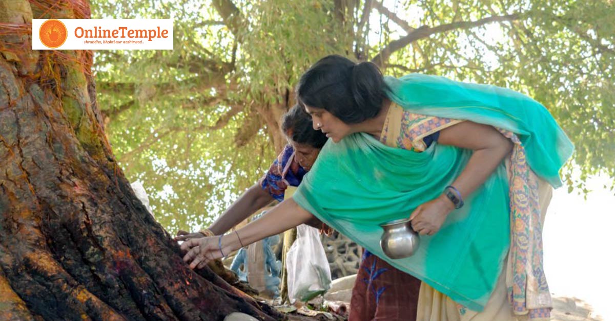 Water-to-Peepal-Tree-