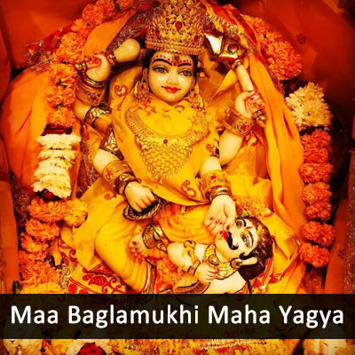 Maa Baglamukhi Maha Yagya